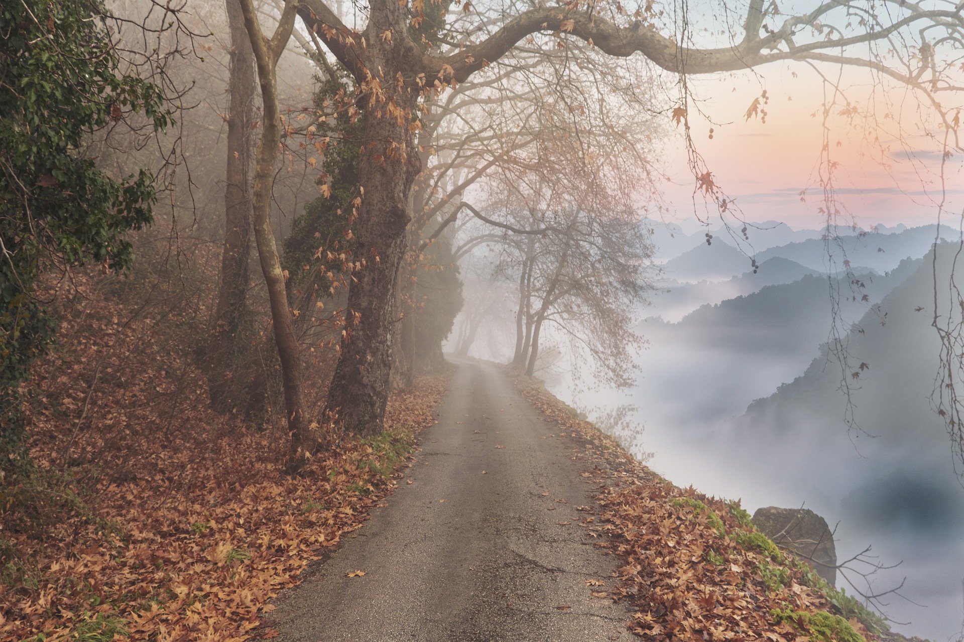 Autumn road